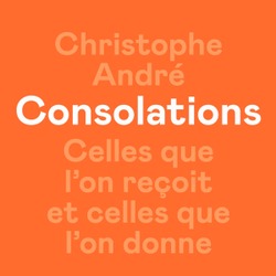 Consolations / Christophe André